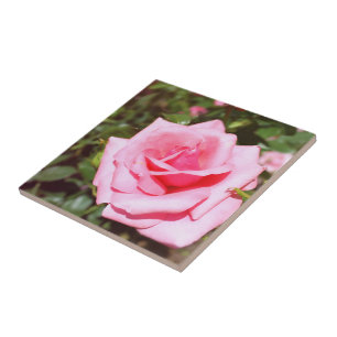 hübsche Rosa-Blume mit süßen Herzen Fliese