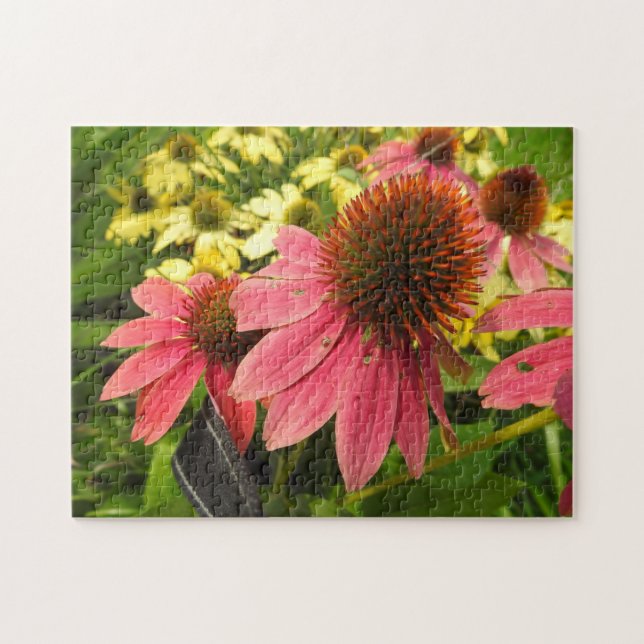 Hübsche rosa Blumen Foto (Horizontal)