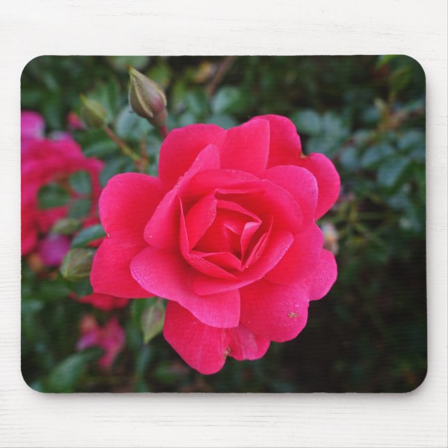 hübsche Rosa-Blumenfotografie Mousepad (Vorne)