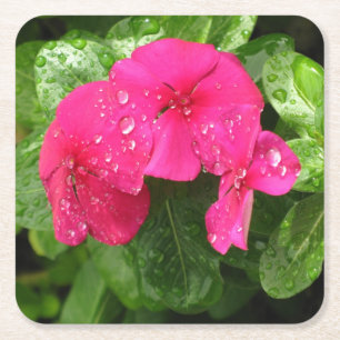 Hübsche Rosa Frühlingsblumen Makrofotografie Rechteckiger Pappuntersetzer