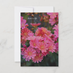 Hübsche Rosa-Garten-Blume Mitteilungskarte