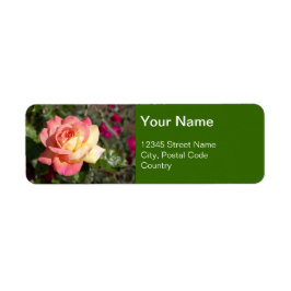 Hübsche rosa-gelbe Blume, kundenspezifisch