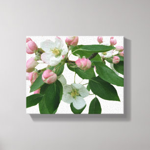Hübsche Rosa Kirschblüte Blumenblüte schön modern Leinwanddruck