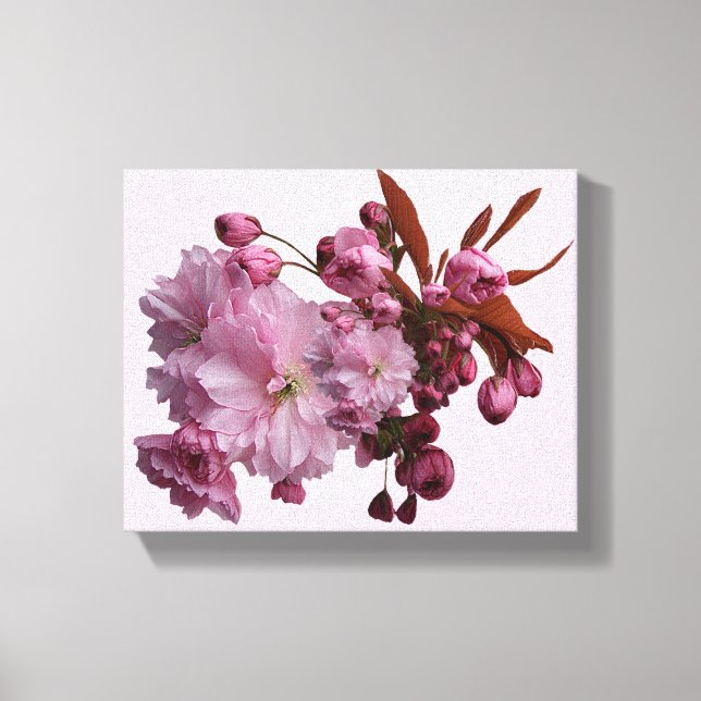 Hübsche Rosa Kirschblüte, schlicht, schön Leinwanddruck (Vorderseite)