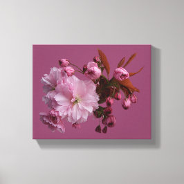 Hübsche Rosa Kirschblüte, schöne moderne Blüte Leinwanddruck