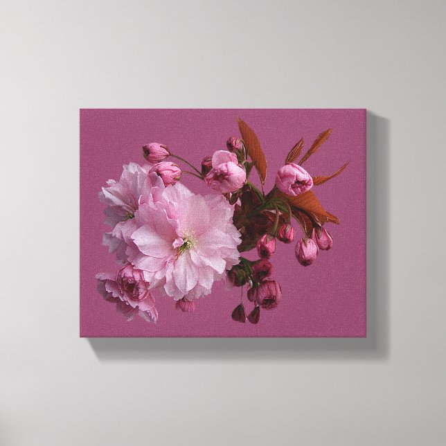 Hübsche Rosa Kirschblüte, schöne moderne Blüte Leinwanddruck (Vorderseite)