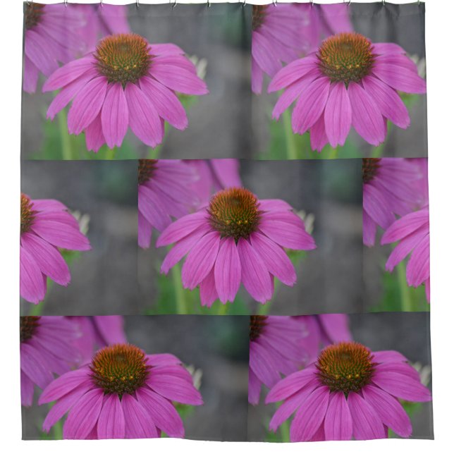 Hübsche Rosa-Kone-Blume Duschvorhang (Vorderseite)