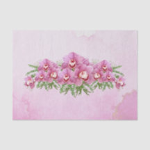 Hübsche Rosa Orchideen