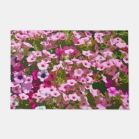 Hübsche Rosa Petunien