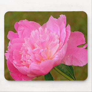 Hübsche rosa Pfingstrosen-Mausunterlage Mousepad