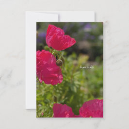 Hübsche rosa Pflücke im Garten Mitteilungskarte