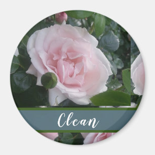 Hübsche Rosa Rosa Magnet