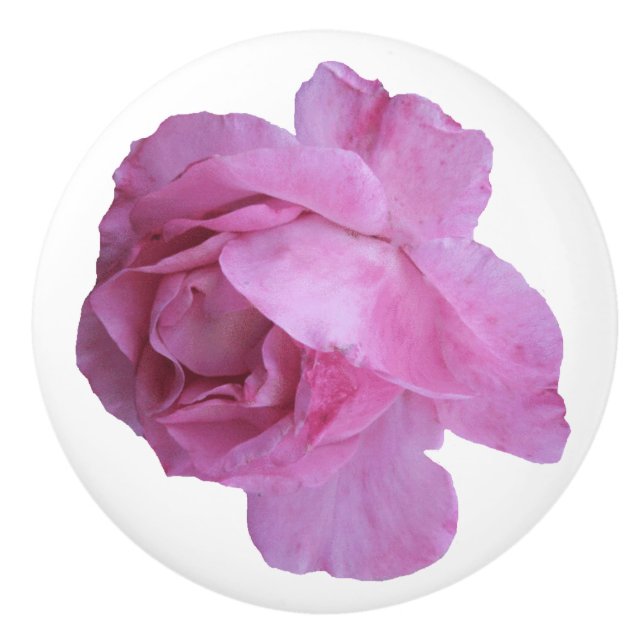 Hübsche Rosa Rosa schöne Keramik Frische Kunst Keramikknauf (Vorderseite)