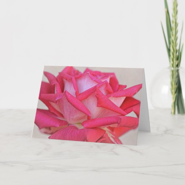 Hübsche rosa Rose Fotografiekarte Karte (Vorderseite)