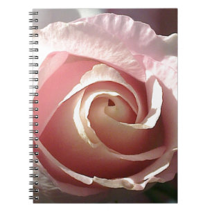 Hübsche rosa Rose Notizblock