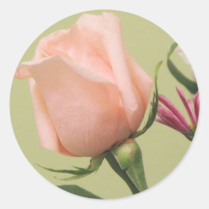 Hübsche rosa Rose Runder Aufkleber