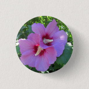 Hübsche Rosa-Rose von Sharon Fotografy Button