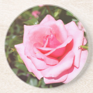 hübsche rosa Rosenblume mit süßen Herzen Sandstein Untersetzer