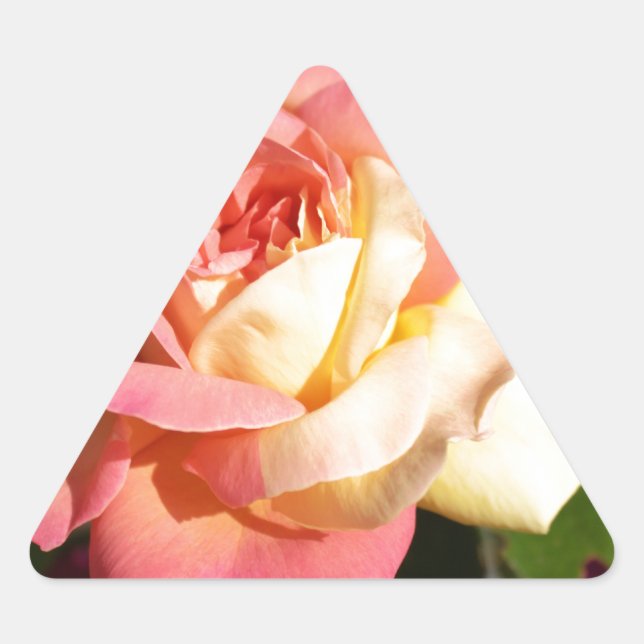 Hübsche rosa und gelbe Blume. floral Dreieckiger Aufkleber (Vorderseite)