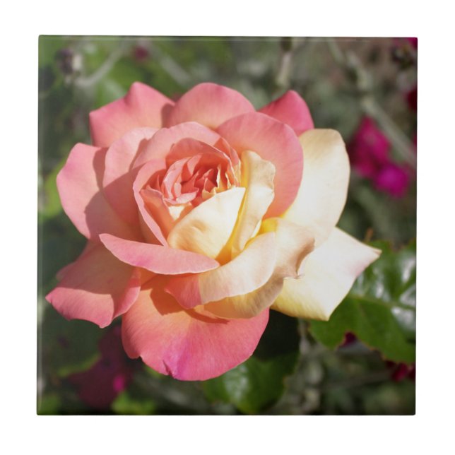 Hübsche rosa und gelbe Blume. floral Fliese (Vorderseite)