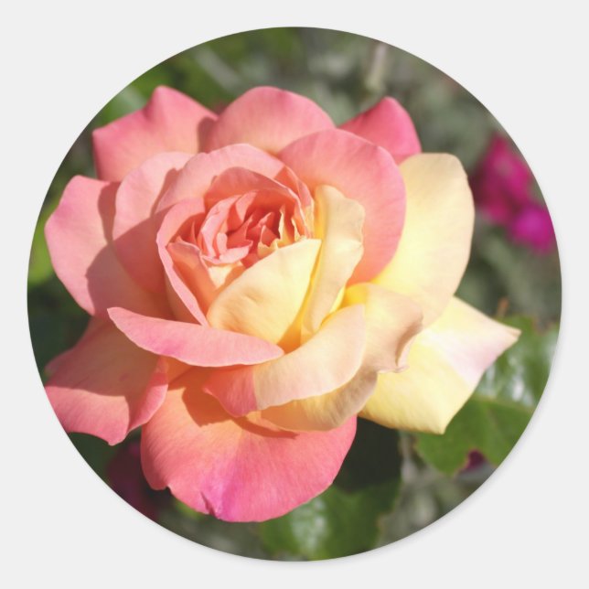Hübsche rosa und gelbe Blume. floral Runder Aufkleber (Vorderseite)