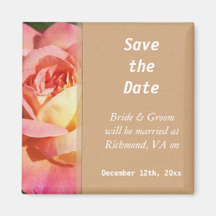 Hübsche rosa und gelbe Rosenblume - Datum vormerke Magnet