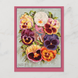 Hübsche rosa und violette Stiefmütterchen im Vinta Postkarte