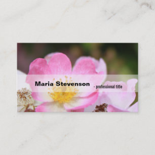 hübsche rosa wilde Rosenblume professionell Visitenkarte