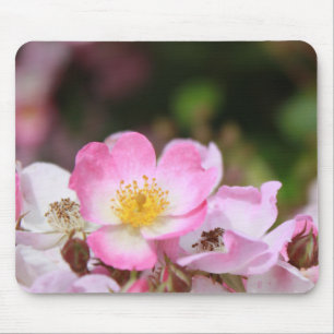 hübsche rosa wilde Rosenblumen für Damen Mousepad