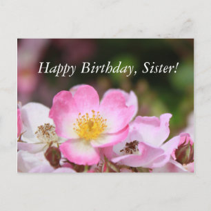 hübsche rosa wilde Rosenblumen für Damen Postkarte