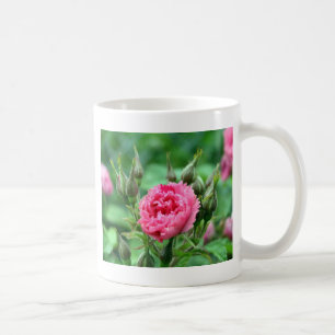 hübsche rosa wilde Rosenknospen und Blüte Kaffeetasse