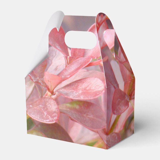 Hübsche rosa Zweige Geschenkschachtel (Vorderseite)