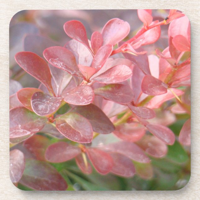 Hübsche rosa Zweige Getränkeuntersetzer (Vorderseite)