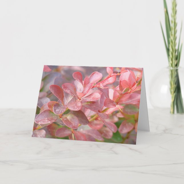 Hübsche rosa Zweige Karte (Vorderseite)