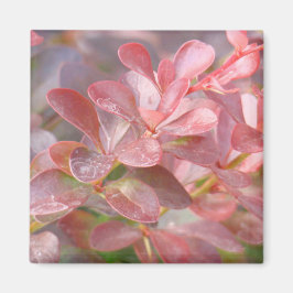 Hübsche rosa Zweige Magnet