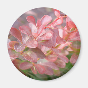 Hübsche rosa Zweige Magnet