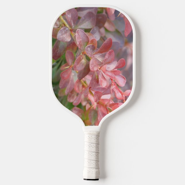 Hübsche rosa Zweige Pickleball Schläger (Rückseite)