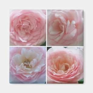 Hübsche Rose Magnet