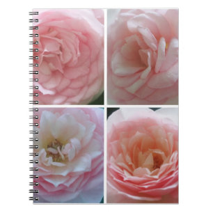 Hübsche Rose Notizblock