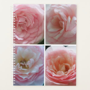 Hübsche Rose Planer