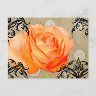 Hübsche Rose Postkarte
