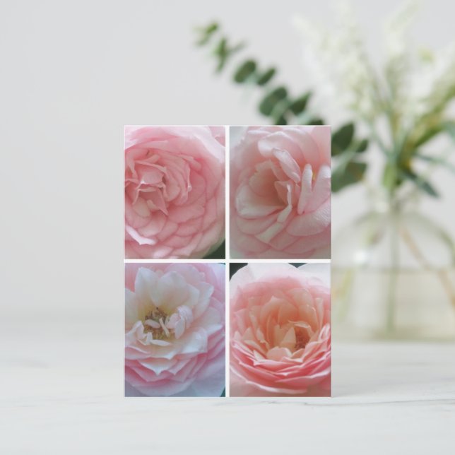 Hübsche Rose Postkarte (Stehend Vorderseite)