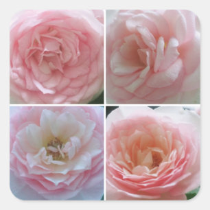 Hübsche Rose Quadratischer Aufkleber
