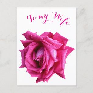 Hübsche Rose Rosa Blütenpracht Happy Valentine Lie Postkarte