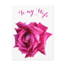 Hübsche Rose Rosa Blütenpracht Happy Valentine Lie
