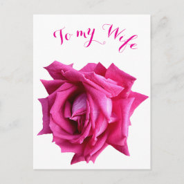 Hübsche Rose Rosa Blütenpracht Happy Valentine Lie Postkarte