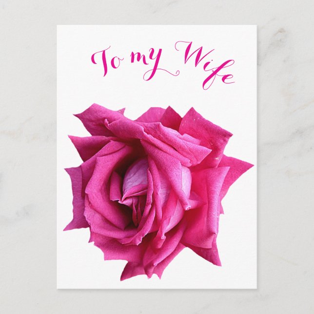 Hübsche Rose Rosa Blütenpracht Happy Valentine Lie Postkarte (Vorderseite)