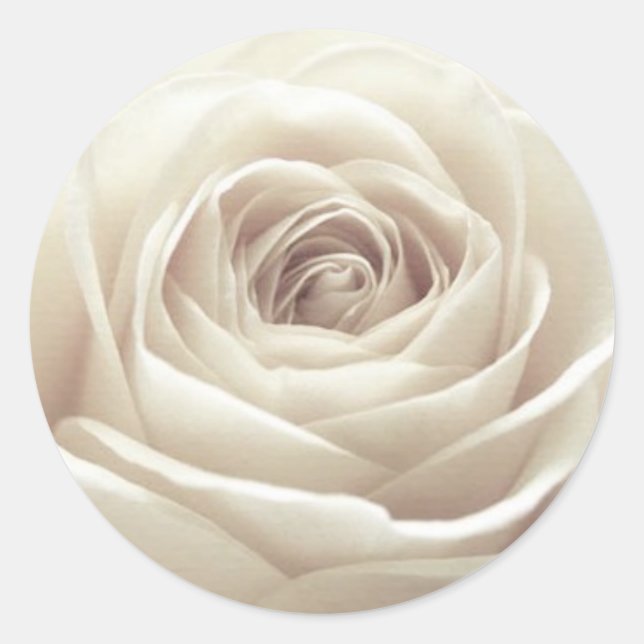 Hübsche Rose Runder Aufkleber (Vorderseite)