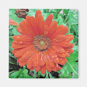 Hübsche Rote Blume mit Raindrops Magnet