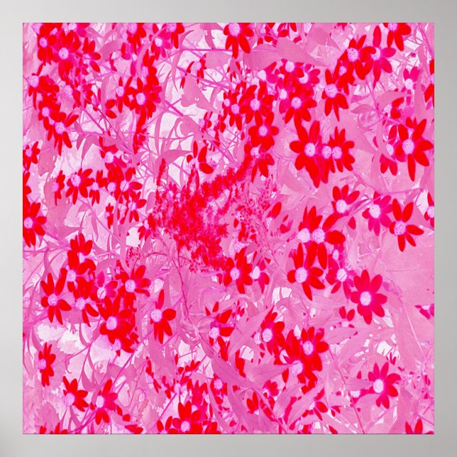 Hübsche Rote Blume Poster (Vorne)